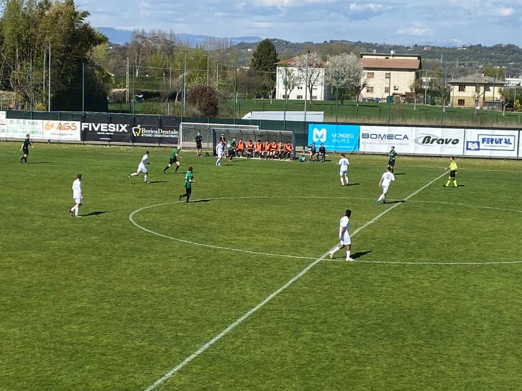 WhatsApp Image 2022-04-11 at 11.33.24